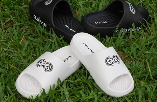 gamechanger slides